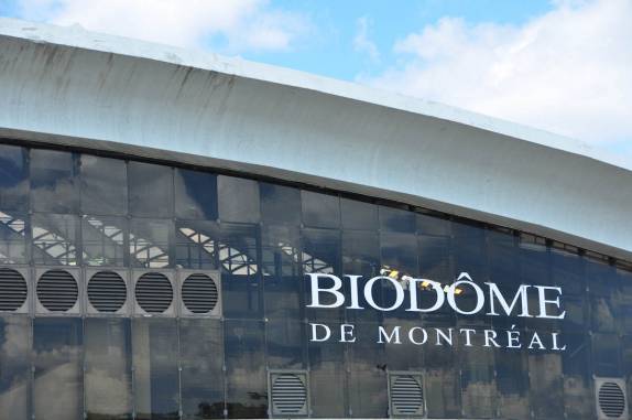 Estádio OlÍmpico, transformado em gigantesca estufa, em Montreal, no Canadá